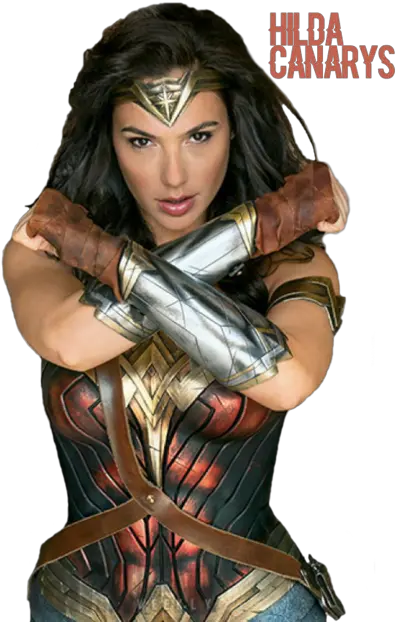 Wonder Woman Png High Transparent Wonder Woman Png Wonder Woman Logo Png