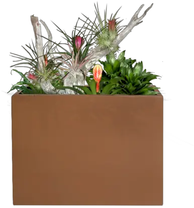 Planter Box Top View Png Image Planter Box Side View Png Plant Top View Png