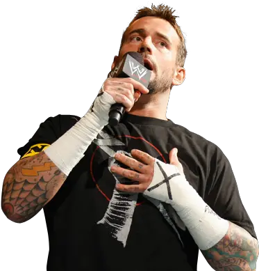 Wwe 10 Storylines Weu0027d Love To See For The Rock Bleacher Cm Punk On Mic Nexus Png Dolph Ziggler Png