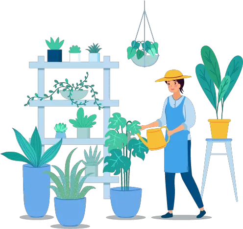 Plant Sitemap Letter C Nurserypeople Plants Woman Vector Png Wet N Wild Color Icon Blush Rose Champagne