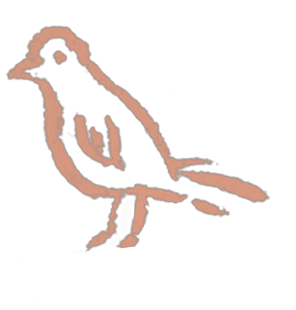 What We Do U2014 Wild Child Gym House Sparrow Png Coral Png