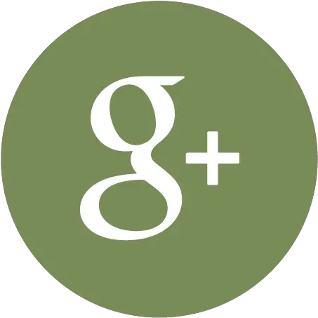 Download Hd Social Icons Google Plus Logo Green Google Plus Icon Vector Png Google Plus Logo Transparent