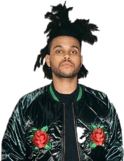 Download Hd The Weeknd Rose Jacket Weeknd Palm Tree Hair Weekend Palm Tree Hair Png The Weeknd Png