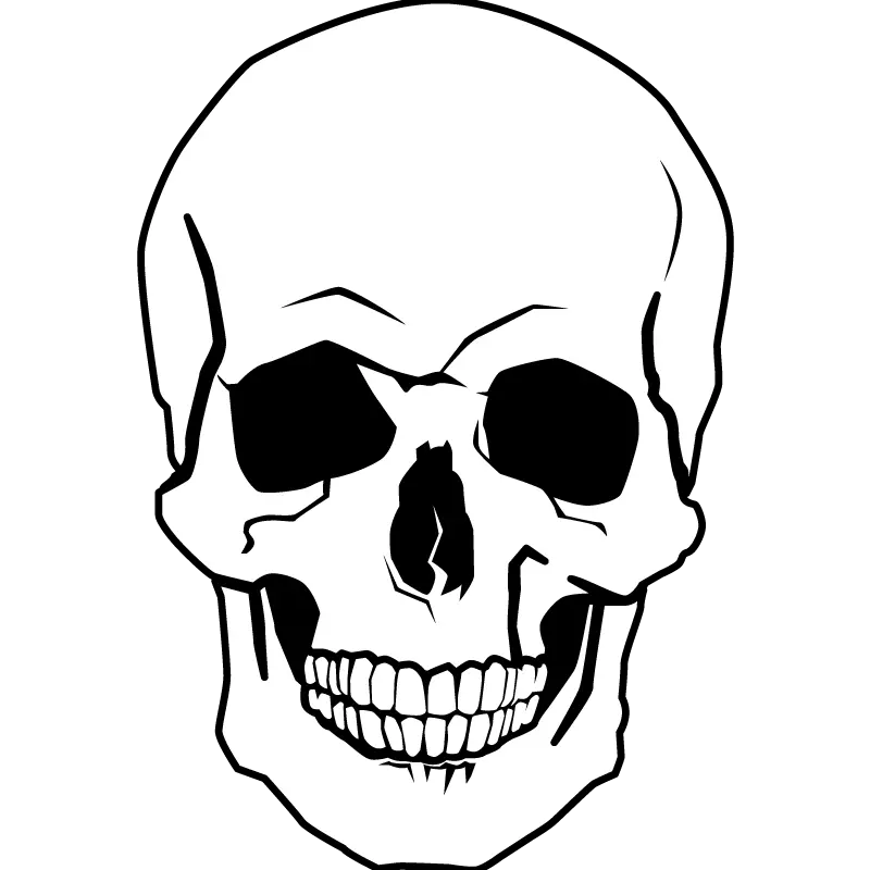 Cute Skull Png