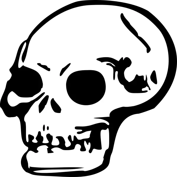 Skull Png Cartoon