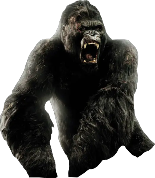 Kong Png 4 Image King Kong Kong Png