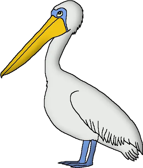 Wildlife Animal Pedia Wiki White Pelican Png Pelican Png