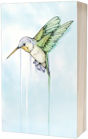 Hummingbird Signed Jude Angelini Hummingbird Png Hummingbird Transparent