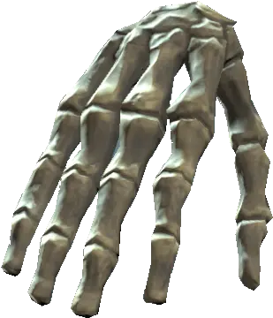 Bones Of The Right Hand Transparent Png Bones Png Bones Png