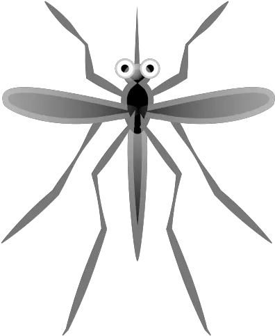 Mosquito Emoji Meaning Png Mosquito Transparent