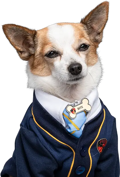 Bite Pup Academy Wiki Fandom Pup Academy Png Bite Png
