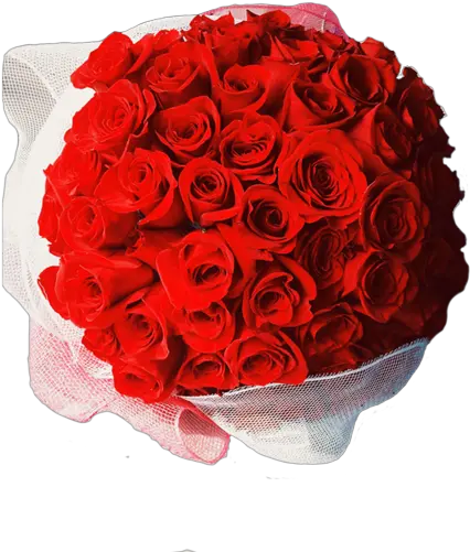 100 Rose Bouquet Roses Buqet Transparent Png Bouquet Of Roses Png