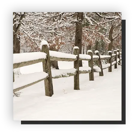 Services Fence Replacementrepair In Wheat Ridge Fence Tree Png White Fence Png