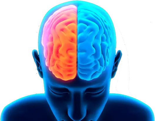 Peak Brain Performance Lake Como Memory Recall Dementia Traumatic Brain Injury Png Memory Png