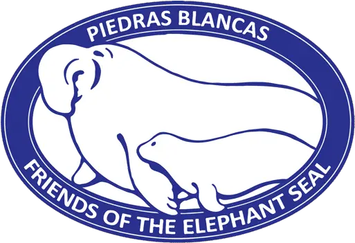 Friends Of The Elephant Seal Piedras Blancas Northern Big Png Find My Friends Icon