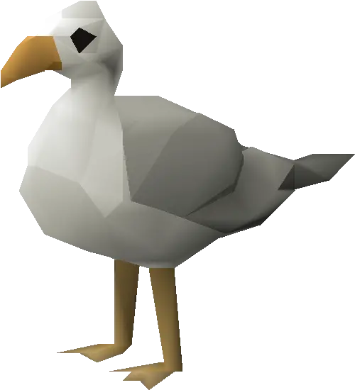 Seagull Runescape Seagull Png Seagull Icon