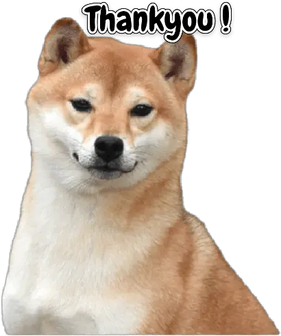 Little Musketeers Shiba Inu Hokkaido Dog Png Shiba Inu Transparent