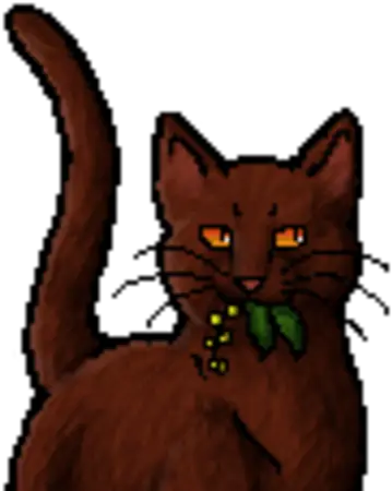 Acorn Furmain Article Warriors Wiki Fandom Warriors Png Cats Transparent