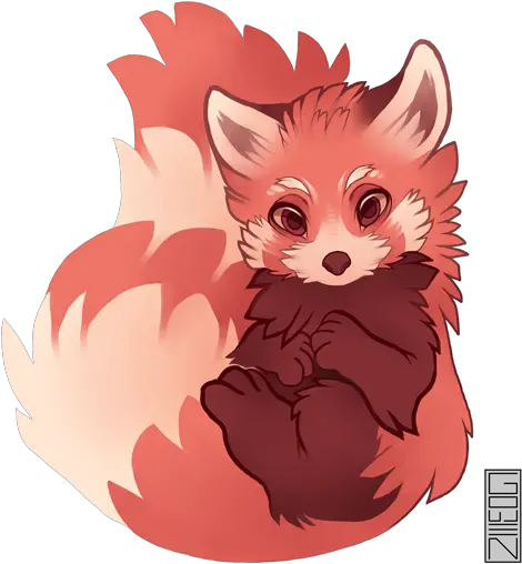 Red Panda U2014 Weasyl Red Panda Drawing Png Red Panda Transparent