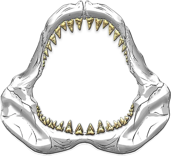 Great White Shark Shark Jaw Transparent Background Png Gold Teeth Png