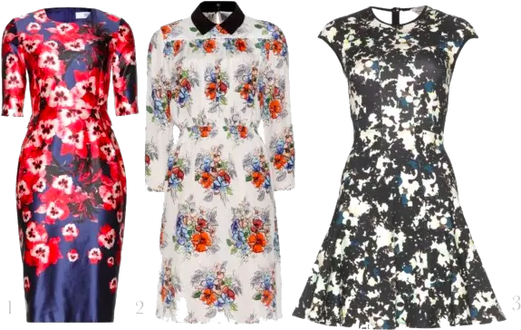 Download Floral Dress Png Clipart Free Transparent Png Dresses Clipart Png Floral Clipart Png