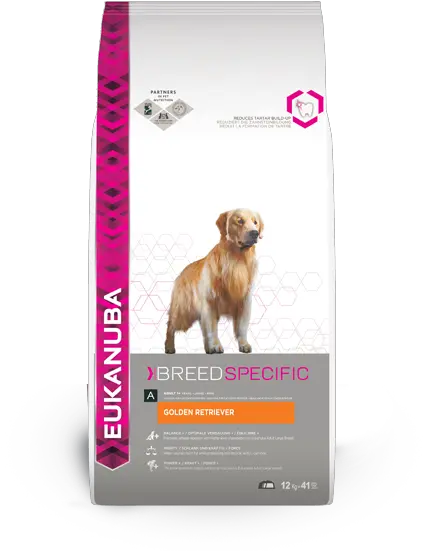 Eukanuba Golden Retriever 12kg Eukanuba Golden Retriever Png Golden Retriever Png