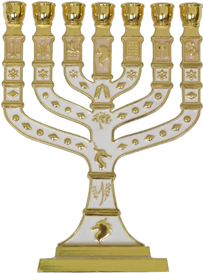 Menorah Png And Vectors For Free Menorah Menorah Png