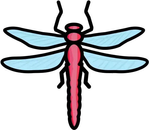 Bug Creature Dragonfly Insect Free Icon Of Spring 2 Icon Png Dragonfly Png