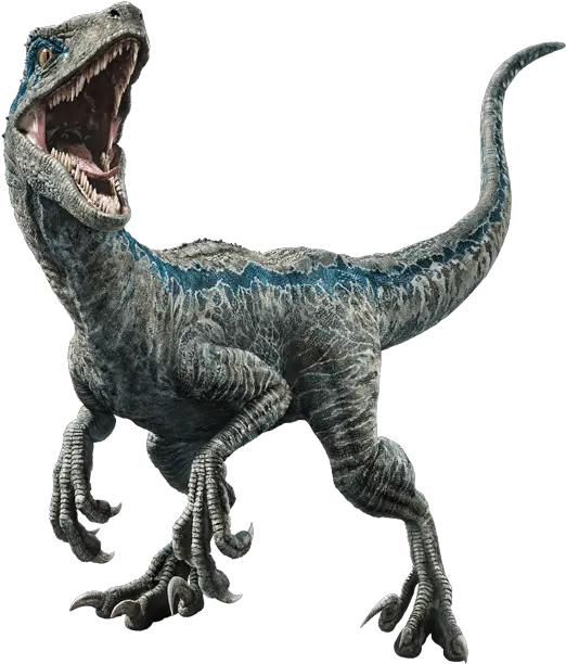 Jurassic Park Dinosaur Png Free Image Blue Raptor Dinosaur Png