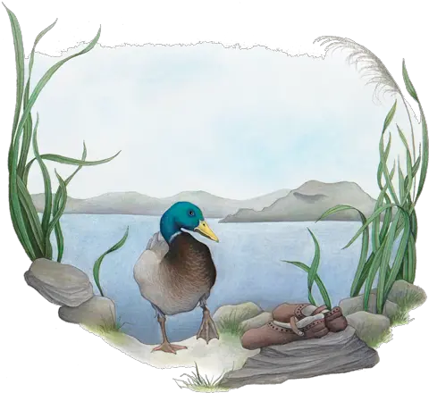 The True Story Of Loch Ness Monster Mallard Png Loch Ness Monster Png