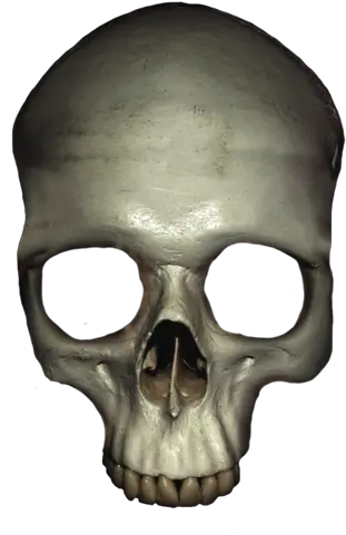 Skull Head Png Picture Skull Skull Head Png