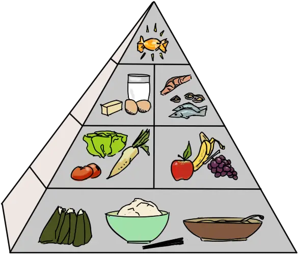Download Japanese Food Pyramid Png
