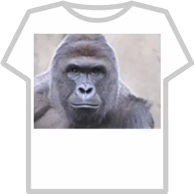 Harambe Roblox Harambe Meme Png Harambe Transparent