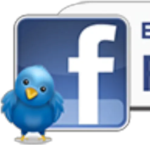 Cropped Birdparadisefacebookbuttonpng Exotic Bird Become A Fan On Facebook Facebook Button Png
