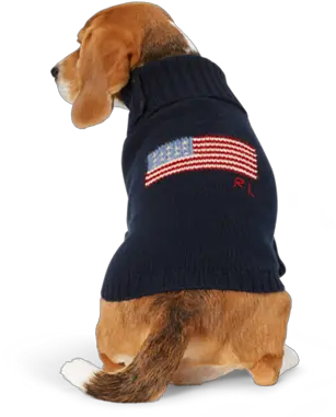 Flag Wool Cashmere Dog Sweater Dog Sweater Pet Clothes Dog Clothes Png Ralph Lauren Icon