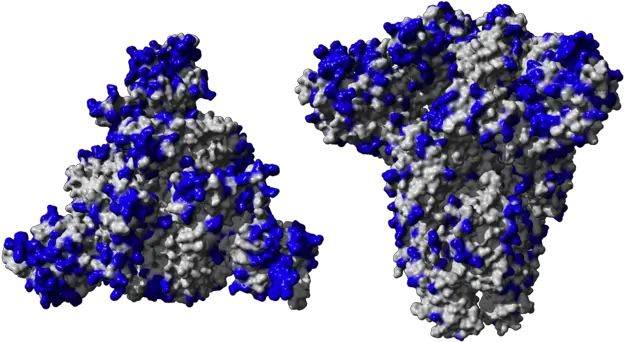 Covid Corona Virus Transperent Png Virus Transparent