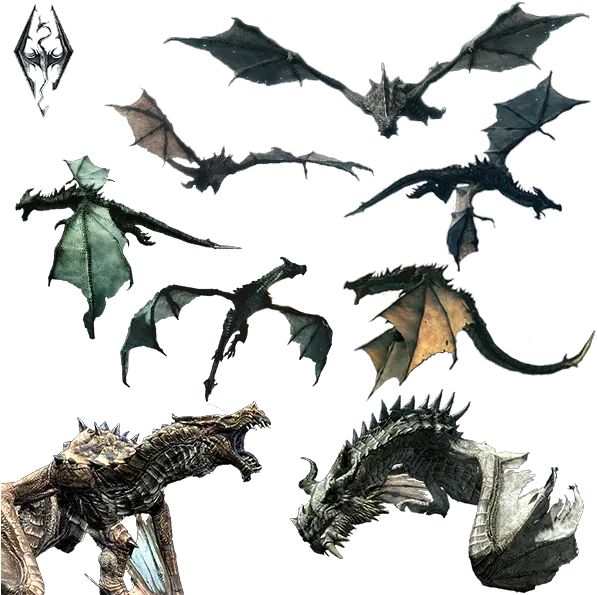 Flying Dragon Png Free Download Mart Realistic Flying Dragon Png Dragon Png Transparent