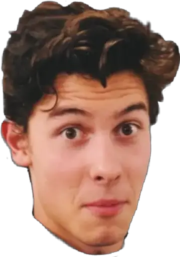 Shawn Mendes Stickers For Whatsapp Tatuaje De Shawn Mendes En La Mano Png Shawn Mendes Png