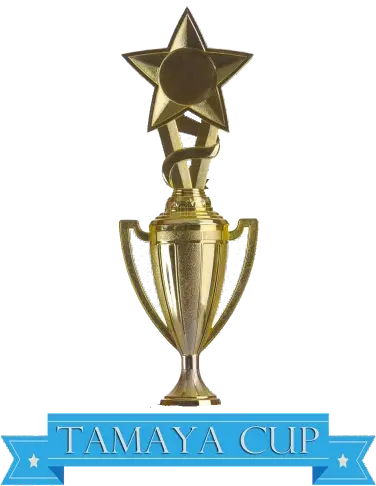 Download Super Bowl 2 Trophy With A Star Png Super Bowl Trophy Png
