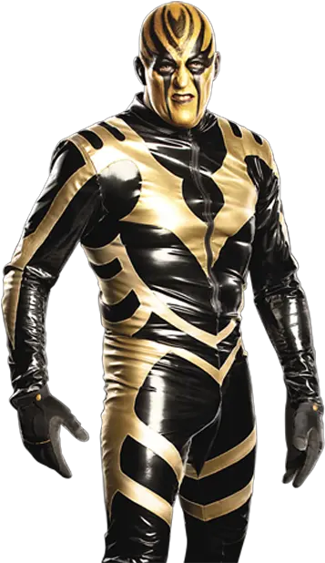 Download Wwe13 Render Goldust 2173 1000 Gold Dust Wwe All Gold Png Gold Dust Png