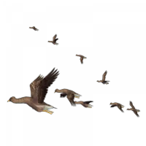 Wand Hogwarts Transparent U0026 Png Clipart Free Download Ywd Transparent Harry Potter Emojis Hogwarts Transparent