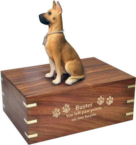 Download Dog Urn For Great Dane Shown Engraved In Gold Dog Dog Breed Png Great Dane Png