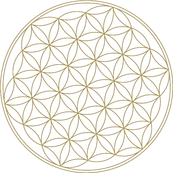 Flower Of Life High Resolution Sacred Geometry Flower Of Gold Flower Of Life Transparent Png Sacred Geometry Png