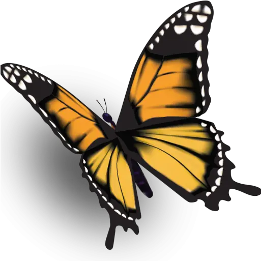 Cropped Ffbbutterflypng U2013 Fairfield Bay Conference Center Monarch Butterfly Monarch Butterfly Png