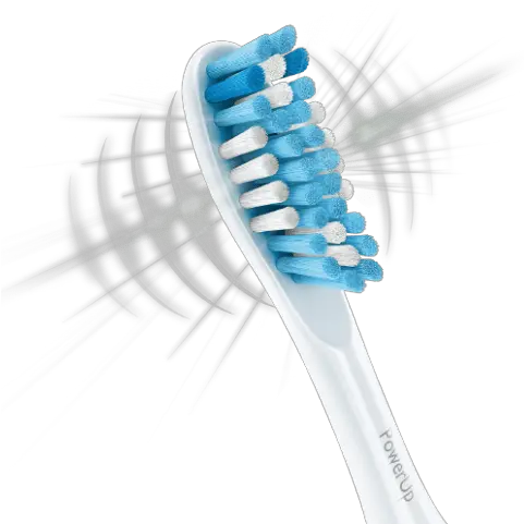 Toothbrush Png Head Of A Toothbrush Toothbrush Transparent