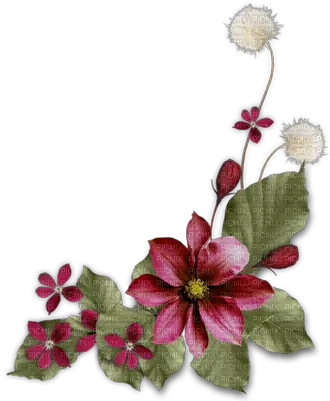 Minou Dark Red Flower Corner Download Memories Frame Png Corner Flowers Png