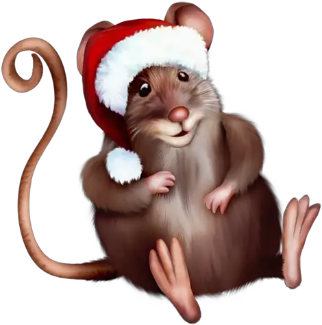 Tubes Animaux Varies Png Mouse In Santa Hat Cartoon Santa Hat Png
