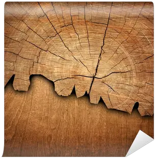 Cracked Wood Board Wall Mural U2022 Pixers We Live To Change Plywood Png Wood Board Png