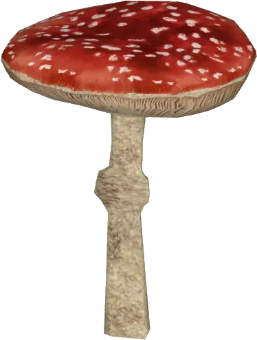 Amanita Muscaria Transparent Background Png Mart Amanita Muscaria Png Mushroom Png