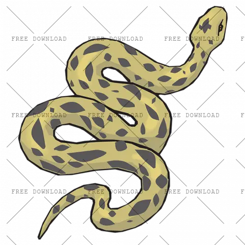 Anaconda Png Image With Transparent Background Photo 6 Quaternary Consumer Snake Transparent Background